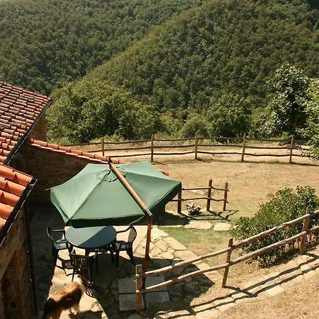 Tribbiano