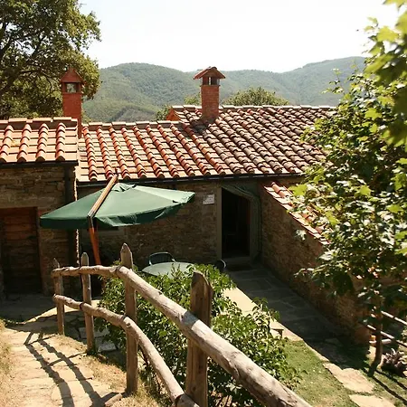 Tribbiano *