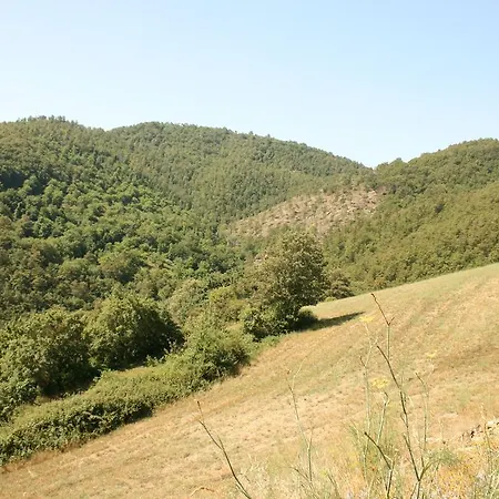 Tribbiano 别墅 Misciano