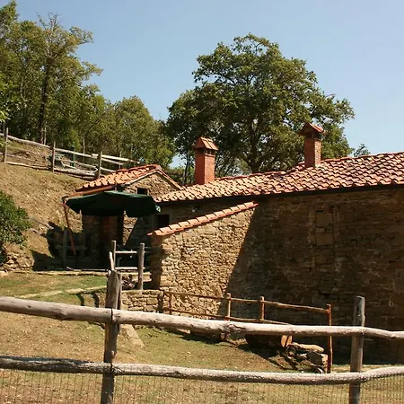 Tribbiano Misciano
